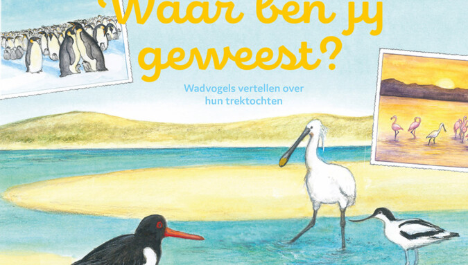 Waar ben jij geweest?