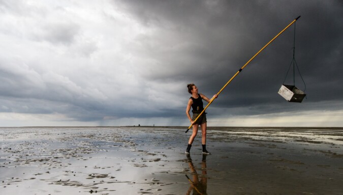 Bruine garnaal maakt Waddenzee extra aantrekkelijk