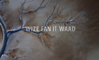 TIP: 5-delige documentaire Wize fan it Waad