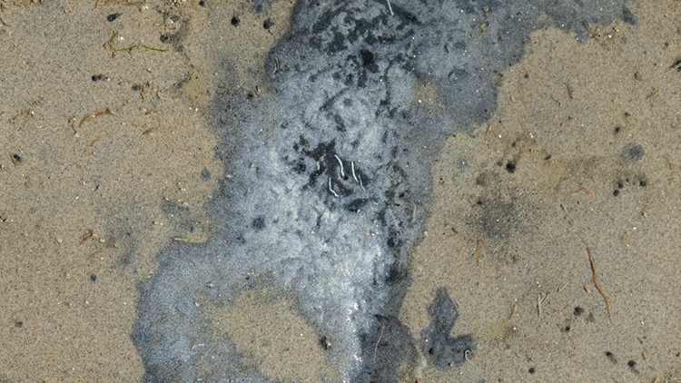 Sneak preview audiovisueel werk Jasper Zijlstra Sneak preview audiovisueel werk Jasper Zijlstra